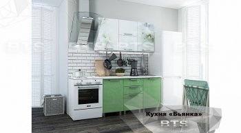 Кухонный гарнитур Бьянка 1500 Салатовый в Миассе - miass.mebel-74.com | фото