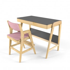 Комплект растущий стол и стул с чехлом 38 попугаев «Вуди» (Серый, Береза, Розовый) в Миассе - miass.mebel-74.com | фото