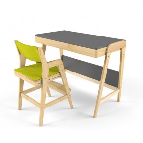 Комплект растущий стол и стул с чехлом 38 попугаев «Вуди» (Серый, Без покрытия, Грин) в Миассе - miass.mebel-74.com | фото