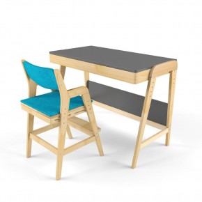 Комплект растущий стол и стул с чехлом 38 попугаев «Вуди» (Серый, Без покрытия, Лазурь) в Миассе - miass.mebel-74.com | фото
