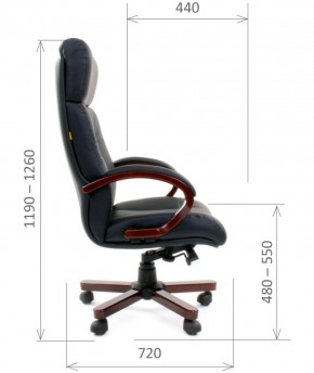 Кресло для руководителя CHAIRMAN  421 (Натуральная кожа) Черное в Миассе - miass.mebel-74.com | фото
