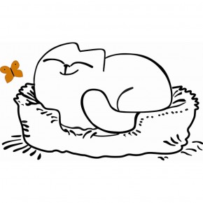 Кровать двухуровневая Кот № 900.1 ЛЕВАЯ (туя светлая/белый) в Миассе - miass.mebel-74.com | фото