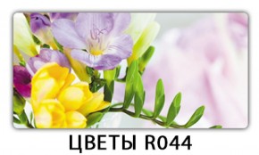 Обеденный раздвижной стол Бриз с фотопечатью Цветы R044 в Миассе - miass.mebel-74.com | фото