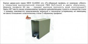 Шкаф-купе 1700 серии NEW CLASSIC K3+K3+B2+PL1 (2 ящика+1 штанга) профиль «Капучино» в Миассе - miass.mebel-74.com | фото