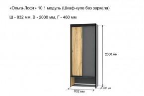 Шкаф купе без зеркала "Ольга-Лофт 10.1" в Миассе - miass.mebel-74.com | фото