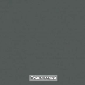 Шкаф купе без зеркала "Ольга-Лофт 10.1" в Миассе - miass.mebel-74.com | фото