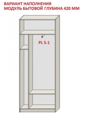 Шкаф распашной серия «ЗЕВС» (PL3/С1/PL2) в Миассе - miass.mebel-74.com | фото