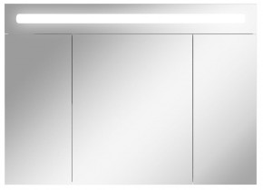 Шкаф-зеркало Аврора 100 с подсветкой LED Домино (DV8012HZ) в Миассе - miass.mebel-74.com | фото