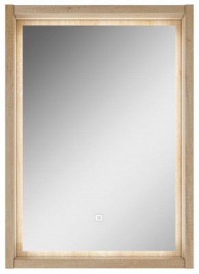Шкаф-зеркало Nice 50 с подсветкой Домино (DN4705HZ) в Миассе - miass.mebel-74.com | фото