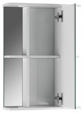 Шкаф-зеркало Норма 2-50 правый АЙСБЕРГ (DA1608HZ) в Миассе - miass.mebel-74.com | фото