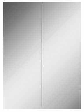 Шкаф-зеркало Норма 50 2 двери АЙСБЕРГ (DA1636HZ) в Миассе - miass.mebel-74.com | фото