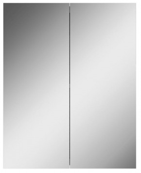 Шкаф-зеркало Норма 55 2 двери АЙСБЕРГ (DA1638HZ) в Миассе - miass.mebel-74.com | фото