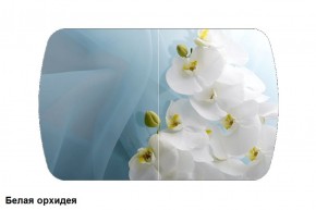 Стол Бостон 900*600 (опоры Брифинг) Стекло/фотопечать Белая Орхидея в Миассе - miass.mebel-74.com | фото