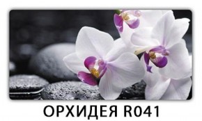 Стол обеденный Трилогия с фотопечатью Орхидея R041 в Миассе - miass.mebel-74.com | фото