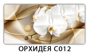 Стол раздвижной Трилогия с фотопечатью Орхидея C012 в Миассе - miass.mebel-74.com | фото